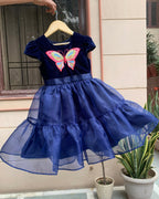 Butterfly Embroidered Girls Organza Dress
